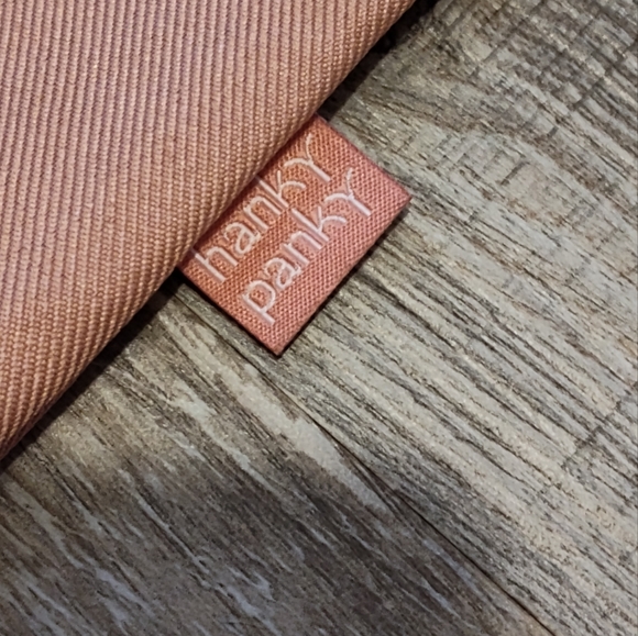 Hanky Panky Laundry/Garment Bags (Like-New) - Picture 4 of 8